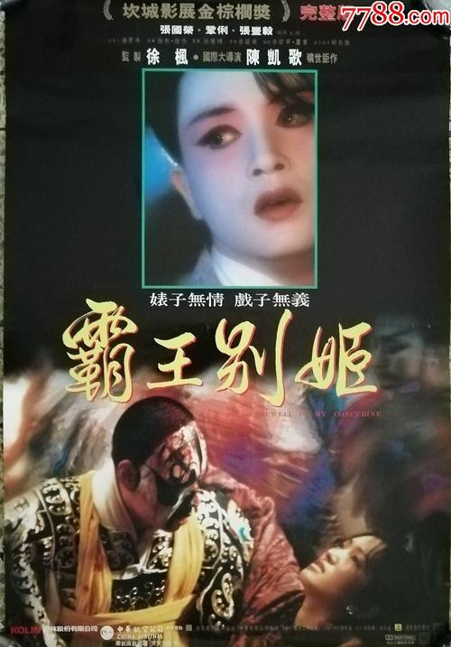 拉奎拉大学 Certificate